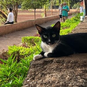 Meet your Posher, Paulomi